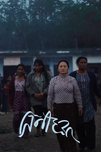 Elephants in the Fog Film izle